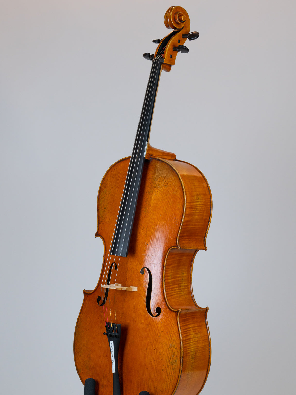 Stefan V Kreul 2011 Erlangen Germany  Cello