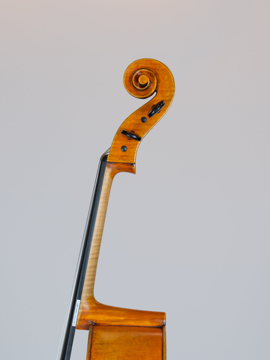 Stefan V Kreul 2011 Erlangen 德国现代大师大提琴