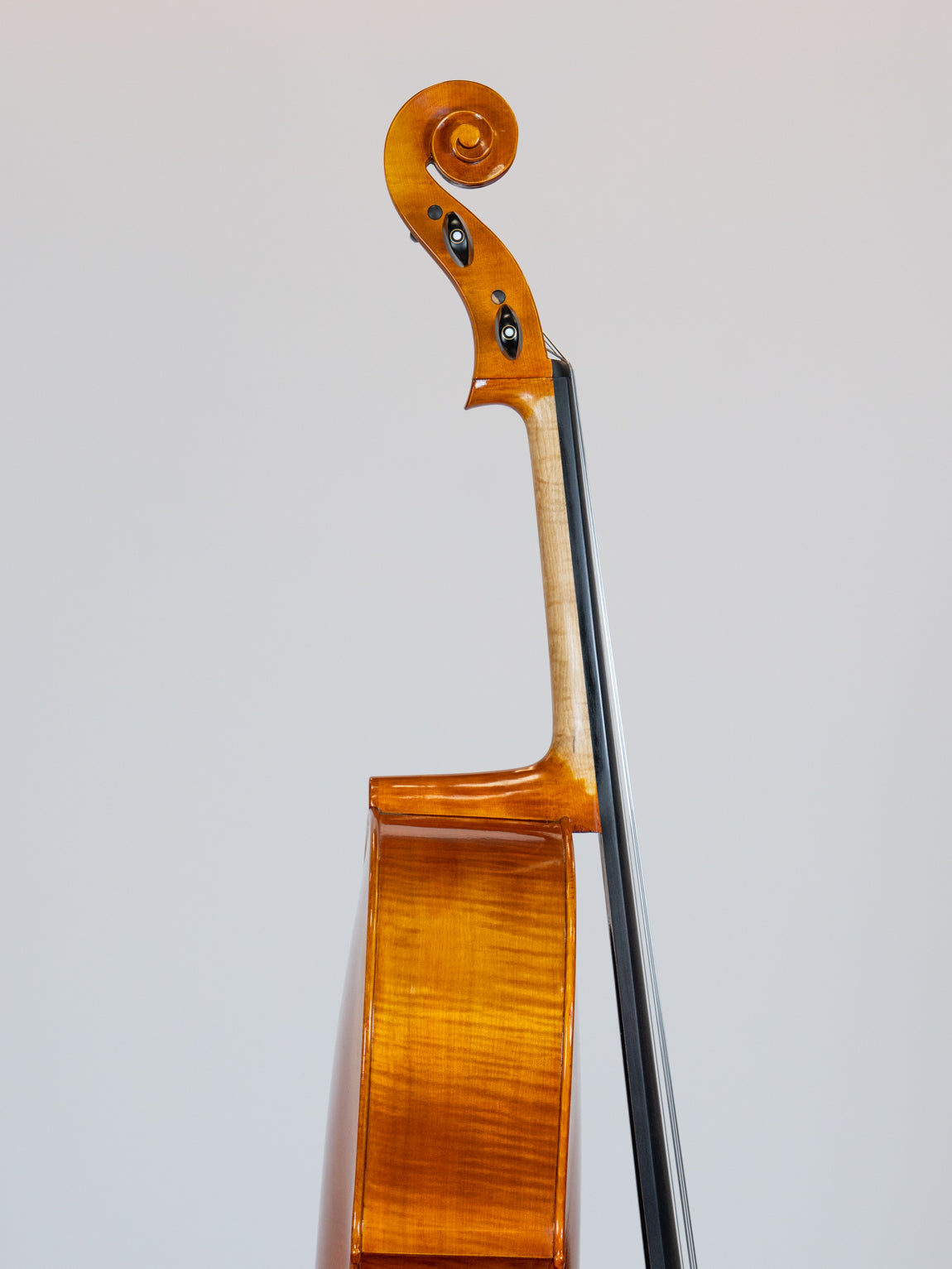 IUE Strings Studio Series Cello 4/4 Outfit