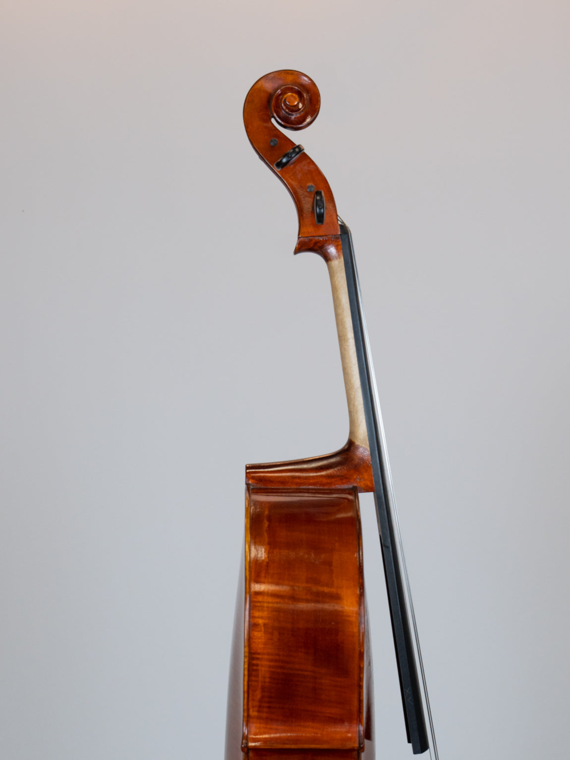 POGGI 1927-2955  IUE Strings Antique-style Cello