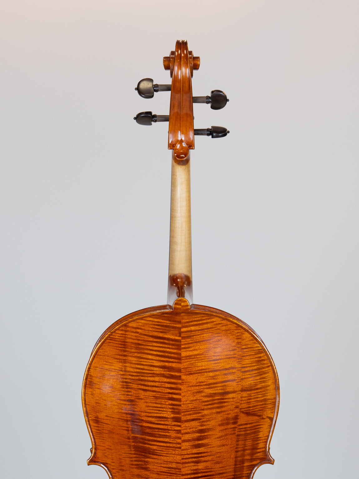 POGGI 1927-3241  IUE Strings Antique-style  Cello