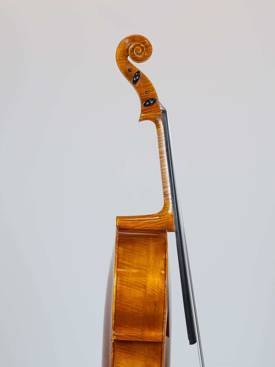 IUE Strings Studio Series Cello 3/4 Outfit