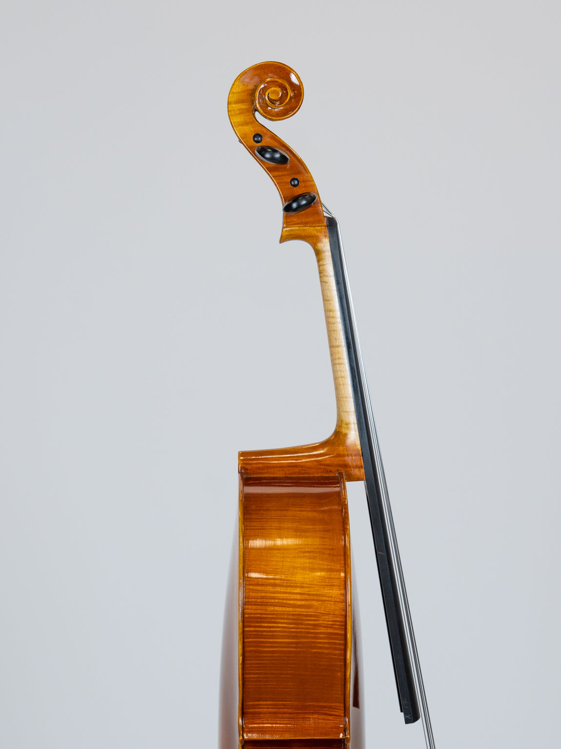 IUE Strings Studio Series Cello 1/8 Outfit