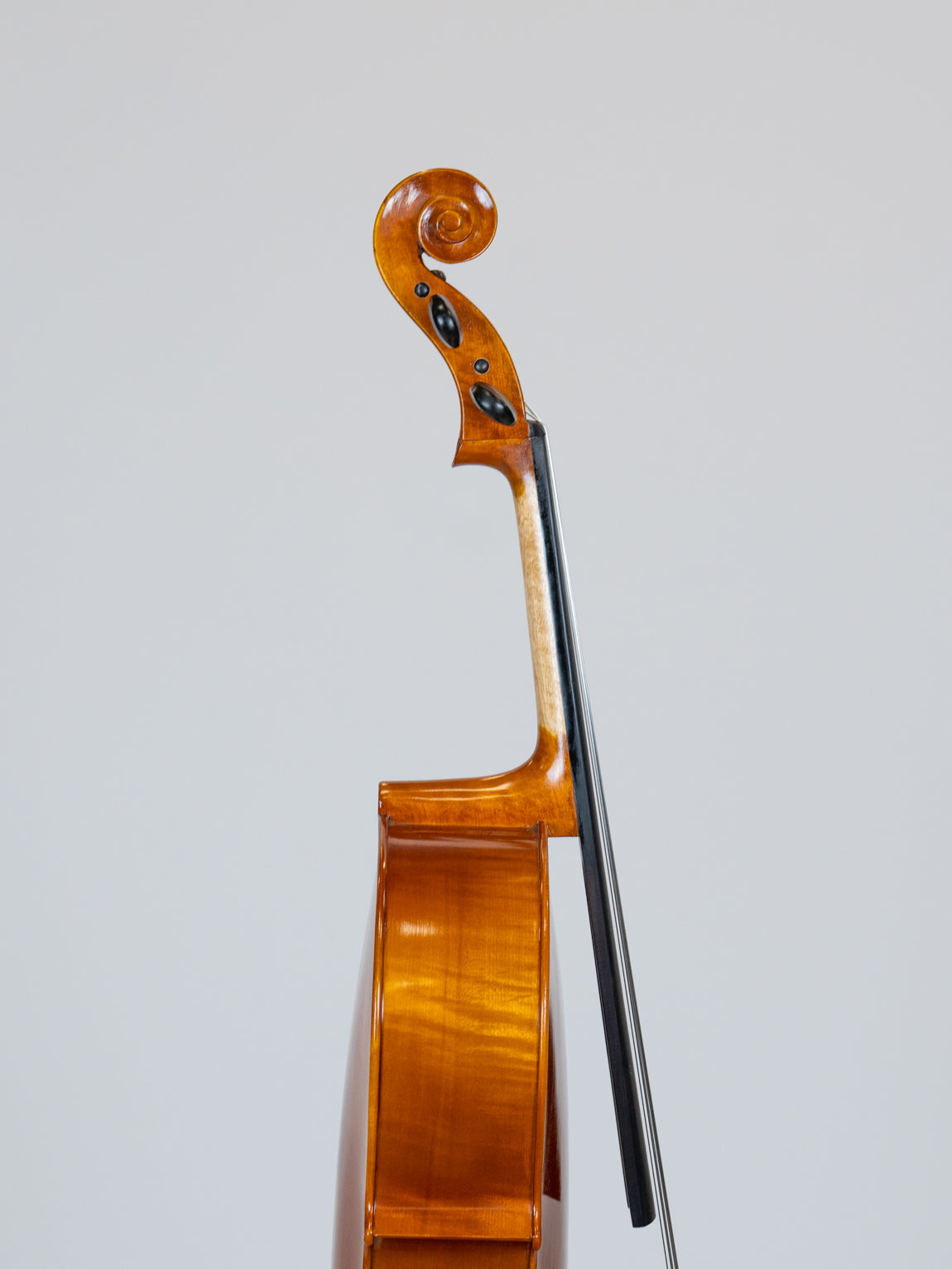 IUE Strings Studio Series Cello 1/4 Outfit
