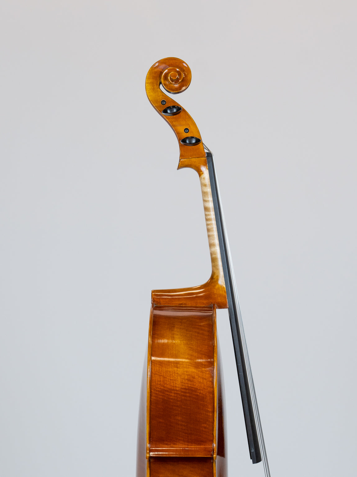 IUE Strings Studio Series Cello 1/2 Outfit